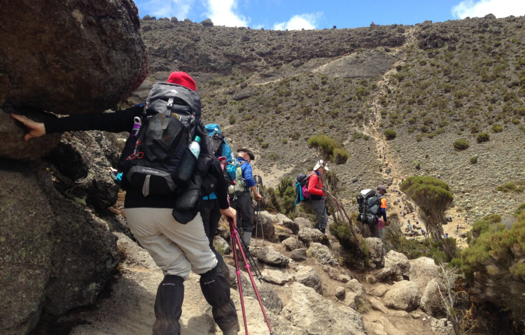 Kilimanjaro Machame Route 7 Days | Roam Wild Adventure