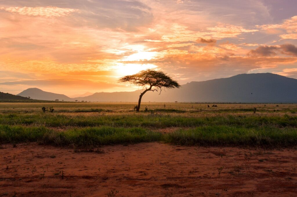Sunset views over the savanna in Serengeti National Park, Tanzania, Africa. Shadow of mountain in the background.