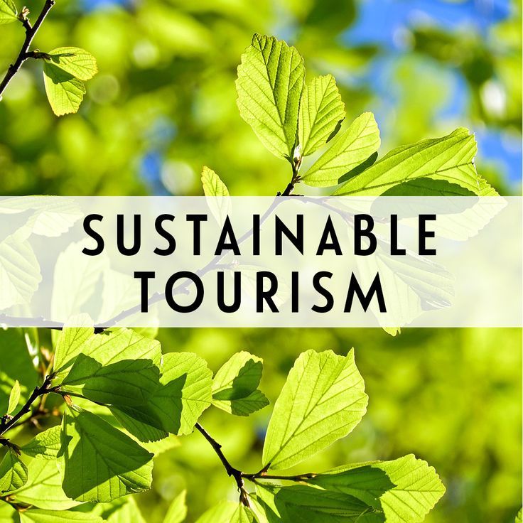 Sustainable Tourism banner with trees in the background