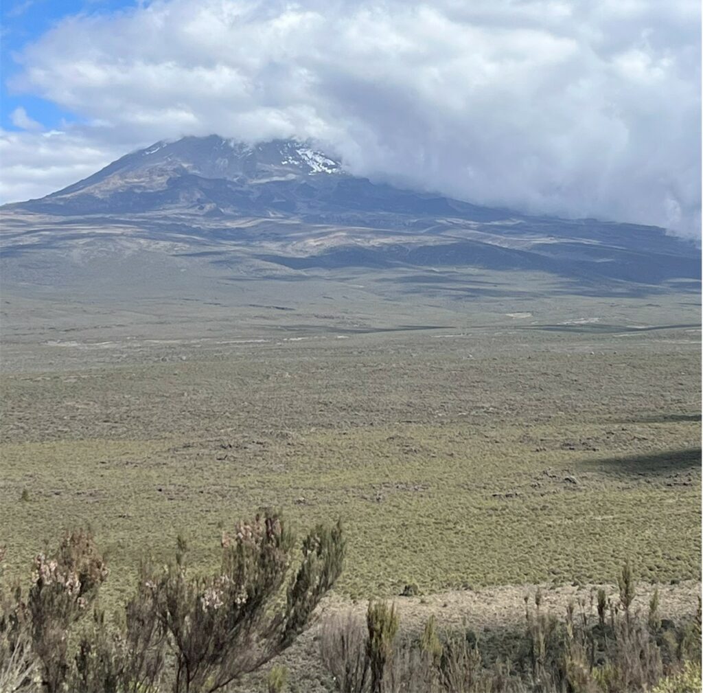 Picture of the heath zone on Mount Kilimanjaro